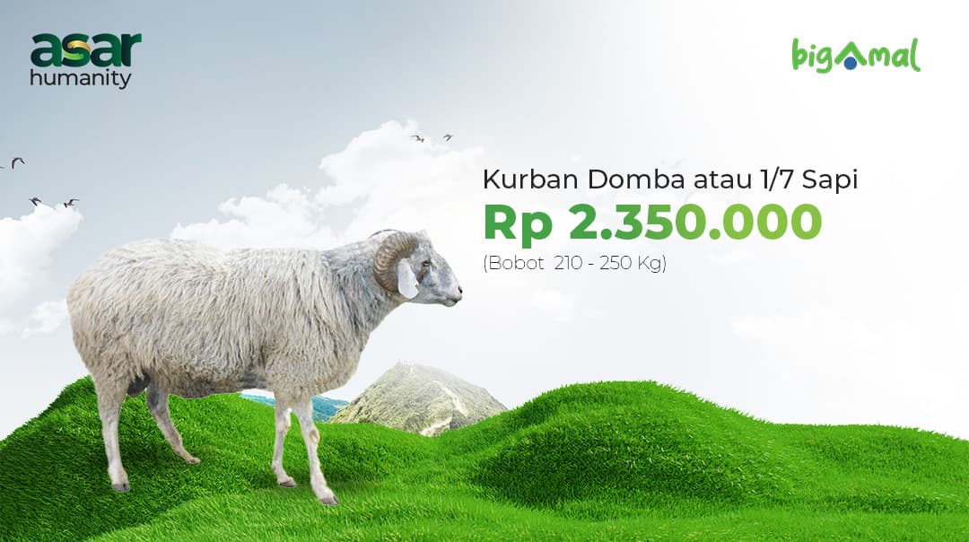 Kurban Domba atau 1/7 Sapi