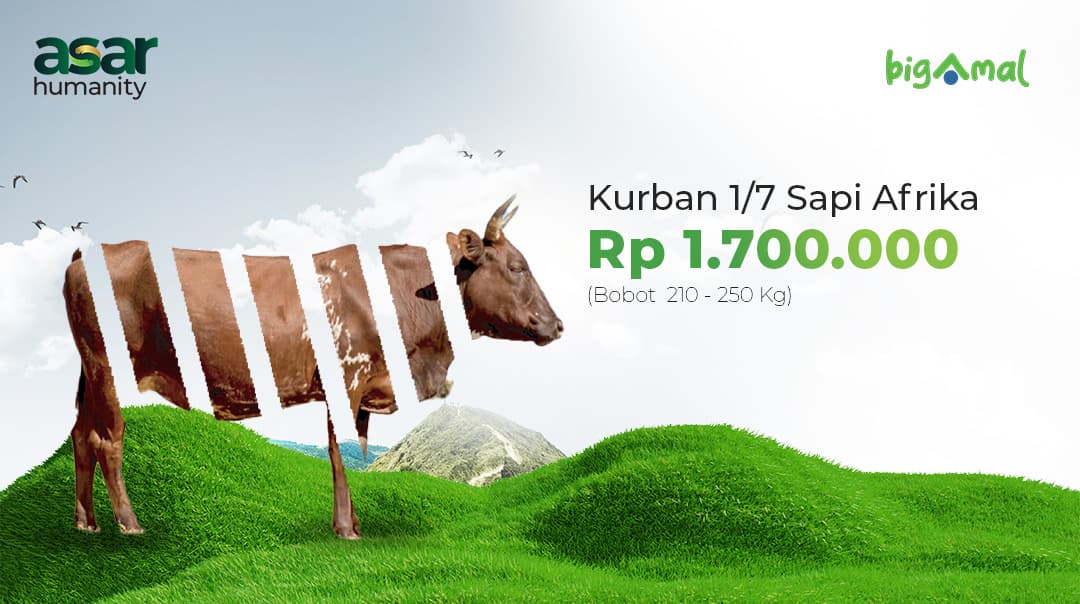 Kurban 1/7 Sapi Afrika